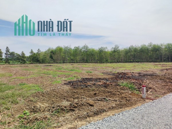 Đất vườn sổ hồng sẵn, giá rẻ nhất thị trường