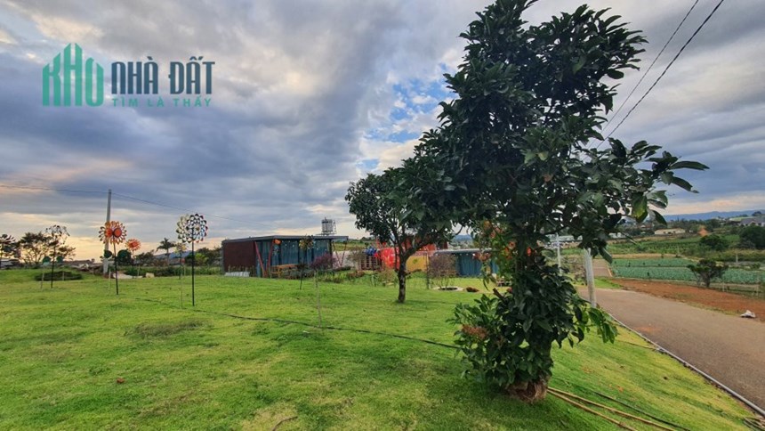 BÁN HOMESTAY GẦN THÁC DAMBRI - BẢO LỘC GIÁ 1 TỶ 5 SHR
