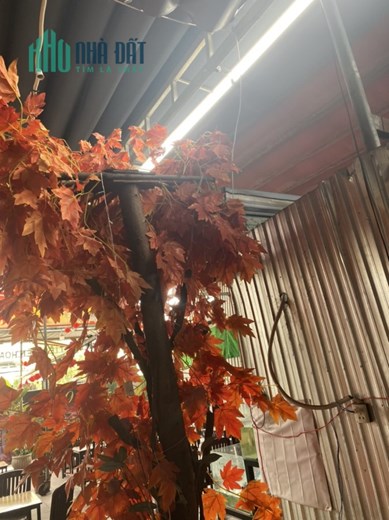 Cần sang lại quán nhậu đang kinh doanh ở Đỗ Xuân Hợp, Quận 9, Hồ Chí Minh