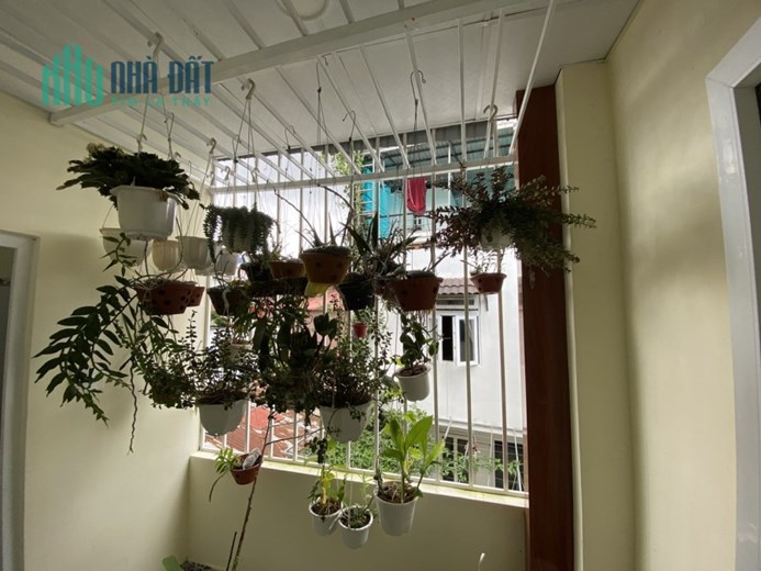 Bán Nhà SRXD - Ngay Trung Tâm TP - Hoàng Diệu P5 Đà Lạt