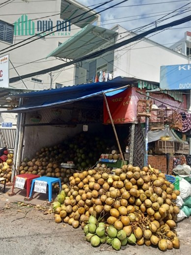 Bán Nhà Bùi Quang Là Gò Vấp Mặt Tiền 151m2 12 Tỷ 5