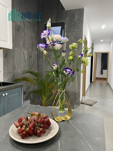 Bán nhà vườn đẹp, phù hợp nghỉ dưỡng tại tỉnh Tây Ninh, 510,3m2, SHR, 3.3tỷ. Lh:0933905505