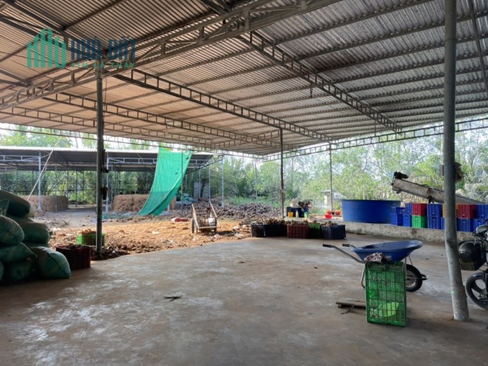 CHÍNH CHỦ BÁN NHANH Lô Đất 2 Mặt Tiền Tặng Nhà Xưởng Tại Quốc Lộ 60, Bến Tre - Giá Đầu Tư