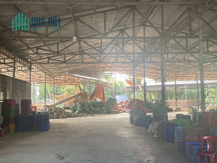 CHÍNH CHỦ BÁN NHANH Lô Đất 2 Mặt Tiền Tặng Nhà Xưởng Tại Quốc Lộ 60, Bến Tre - Giá Đầu Tư