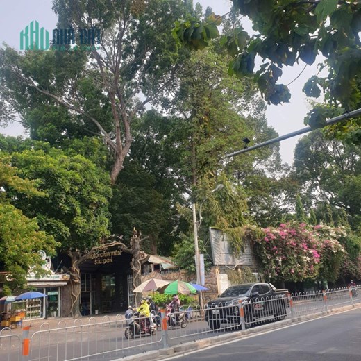 GẤP BÁN CHIA TÀI SẢN CHO CÁC CON - KHU VIP QUẬN 1