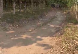 Bán gấp 10050m, 1,7 tỷ, ĐT752, Tân Thành, Tân Đông, Tân Châu, Tây Ninh.