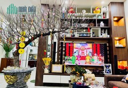 CHO THUÊ BIỆT THỰ SÂN VƯỜN MÁNG NƯỚC - AN ĐỒNG - 200M2
