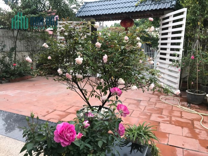 CHO THUÊ BIỆT THỰ SÂN VƯỜN MÁNG NƯỚC - AN ĐỒNG - 200M2