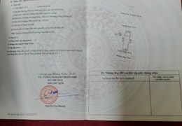 Chính Chủ Cần bán 2 lô đất liền kề   ở phường Phả Lại, thành phố Chí Linh, tỉnh Hải Dương