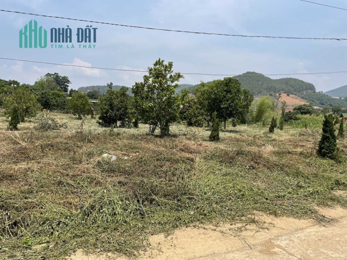 Chính chủ bán 212m²  đất Nam Ban, ngang 7m x 104mtc. Đường betong oto