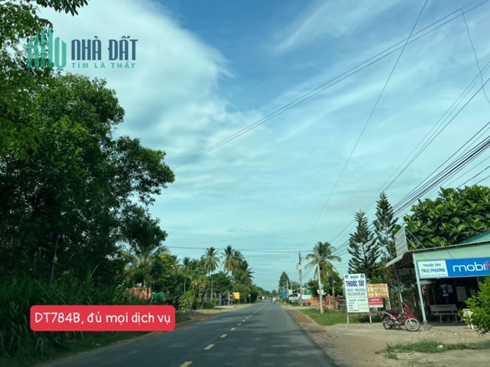 Bán Đất Chà Là - Dương Minh Châu, Full Thổ, 10x50, Đã Tách Sẵn 2 Sổ, CHỉ 1 Tỷ 230 Tr