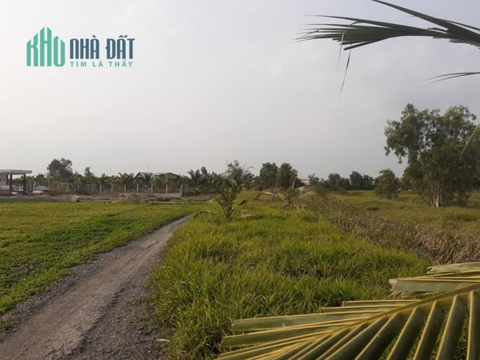 6công vườn ấp 2,Tam Hiệp,Châu Thành,Tiền Giang