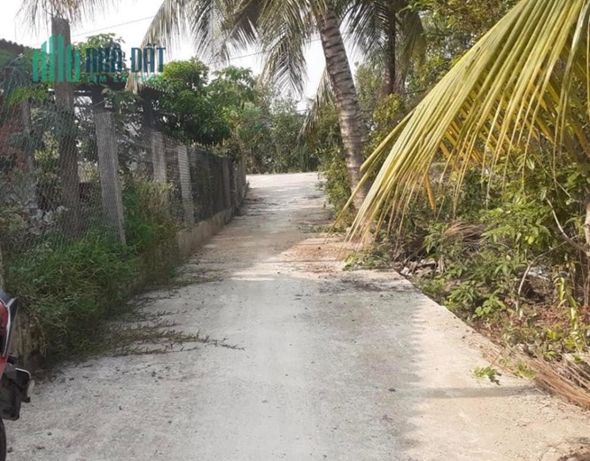 Bán 2công vườn ấp 3,Tam Hiệp,Châu Thành,Tiền Giang