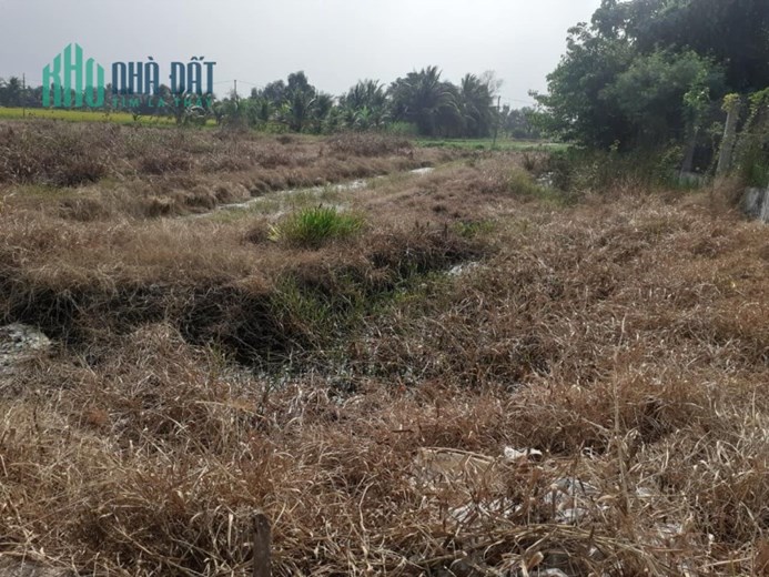 Bán 2công vườn ấp 3,Tam Hiệp,Châu Thành,Tiền Giang