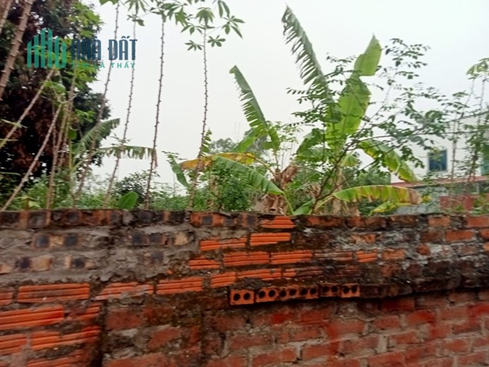 Chính chủ cần bán gấp mảnh đất đất vị trí đẹp tại phường Xuân Đỉnh - Bắc Từ Liêm - Hà Nội