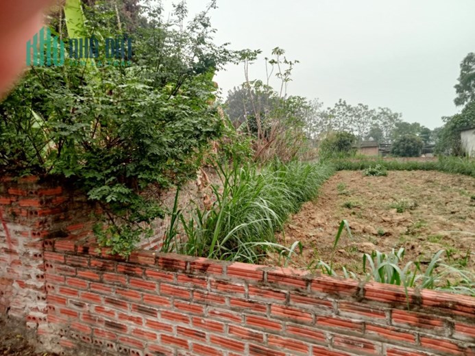 Chính chủ cần bán gấp mảnh đất đất vị trí đẹp tại phường Xuân Đỉnh - Bắc Từ Liêm - Hà Nội