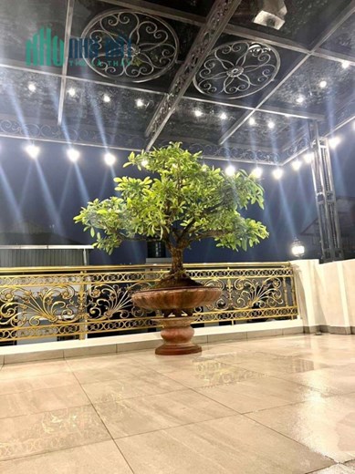 Nhà đẹp Nguyễn Sơn, kinh doanh, ô tô tránh, 55m2x 6 tầng thang máy, mặt tiền: 5m, 12 tỷ