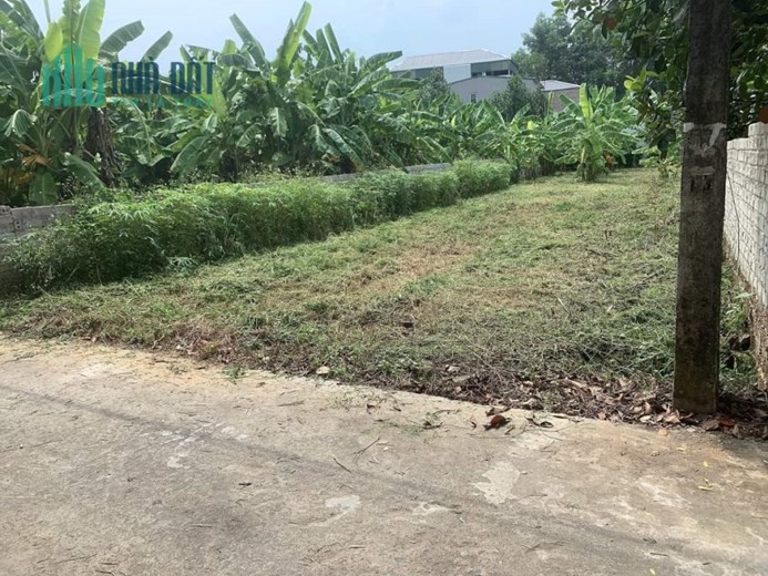 Nhà em cần tiền bán nhanh lô đất tại Thôn 8, Tân Xã