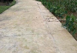 Kẹt Tiền Chính Chủ Cần Bán Lô Đất Tại Huyện Gia Bình