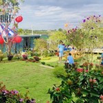 Bán nhà khu homestay đang kinh doanh Bảo Lộc giá 1.6 tỷ ,tiền nào nhà đó nhé.