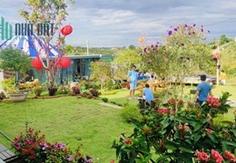 Bán nhà khu homestay đang kinh doanh Bảo Lộc giá 1.6 tỷ ,tiền nào nhà đó nhé.
