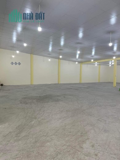 chính chủ bán xường mặt tiền đường trịnh đình trọng, nhựa 8m, 420m2 giá 33 tỷ