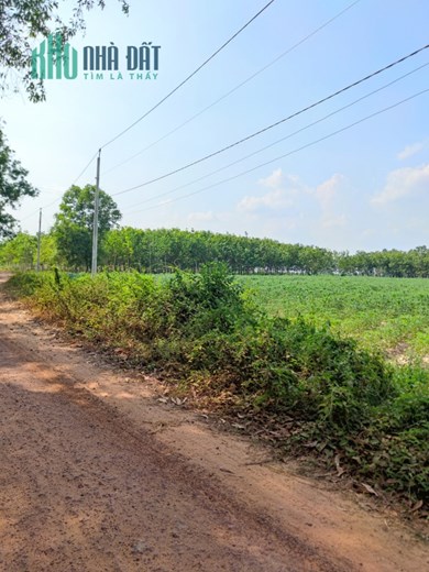 NHANH TAY VỀ TÂY NINH MUA ĐẤT ĐẸP GIÁ NGỘP ĐẦU TƯ