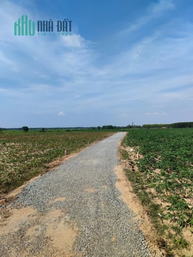 NHANH TAY VỀ TÂY NINH MUA ĐẤT ĐẸP GIÁ NGỘP ĐẦU TƯ