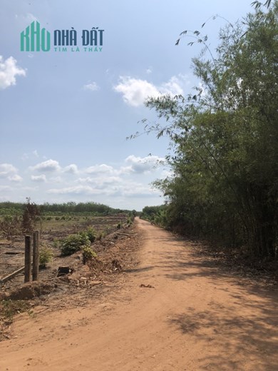 BÁN ĐẤT HƠN 3 SÀO ĐẤT GIÁ CHỈ CÓ 280TR/ SÀO