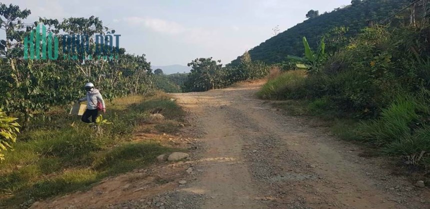 Sở Hữu Ngay Lô Đất Đẹp Vị Trí Đắc Địa Tại Nằm Trên Trục Đường Phạm Hồng Thái Nối Dài Giao Hàm Nghi