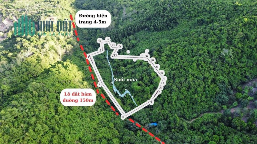 Bán lô Đất Rừng Vĩnh Lương Thành Phố Nha Trang Khánh Hòa