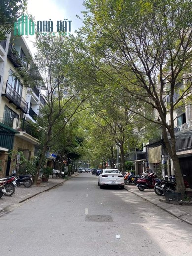 Biệt thự Trần Hữu Dực, Nam Từ Liêm, 80m2, vỉa hè ô tô tránh, 12.6 tỷ