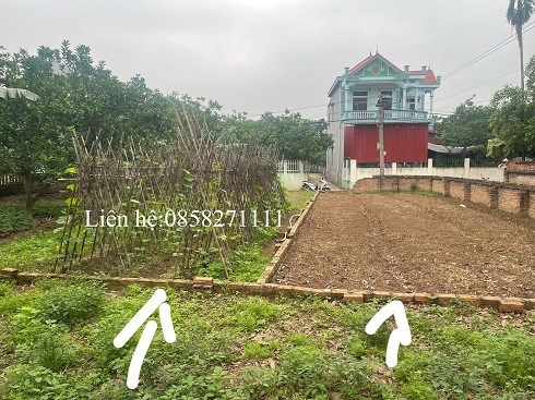 MỞ BÁN 2 LÔ ĐẤT CỰC ĐẸP ĐƯỜNG THÔNG Ô TÔ TRÁNH NHAU