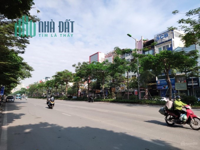 Bán nhà mặt phố Giảng Võ, Ba Đình, 115m, 3 tầng, 9m mặt tiền, kinh doanh, giá 29 tỷ