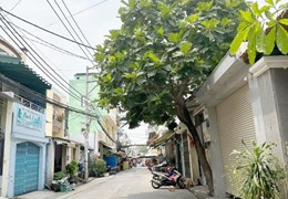 bình tân- mặt tiền đường 1A, bhha, 3 tầng, 138m2 chỉ 10.75 tỷ, giáp tân phú, ngang 5m.