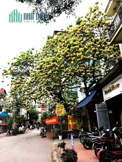 Bán BIIỆT THỰ Mỹ Đình 200m2, 4T, 20 tỷ, trước nhà ô tô đỗ, chủ cần bán gấp