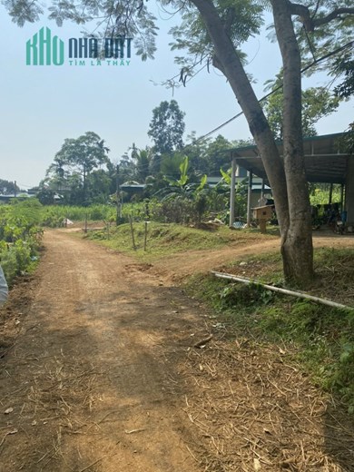 Chính chủ cần bán lô đất tại Thôn Vũ Bình