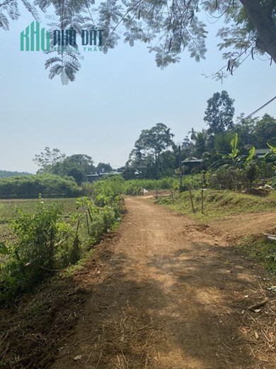 Chính chủ cần bán lô đất tại Thôn Vũ Bình
