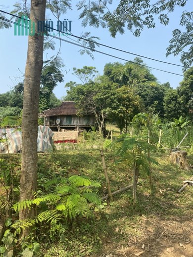 Chính chủ cần bán lô đất tại Thôn Vũ Bình
