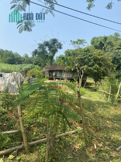 Chính chủ cần bán lô đất tại Thôn Vũ Bình