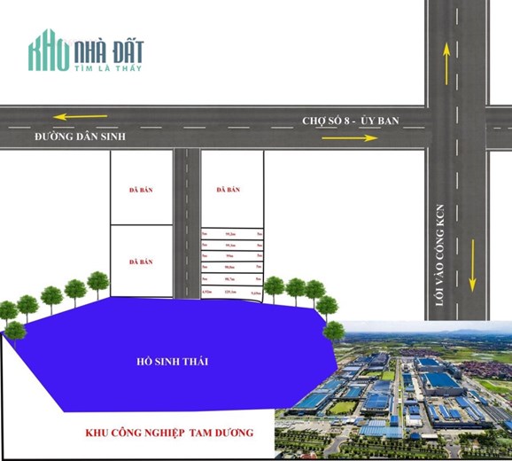 Bán đất Kim Long, Tam Dương giá chỉ hơn 300tr