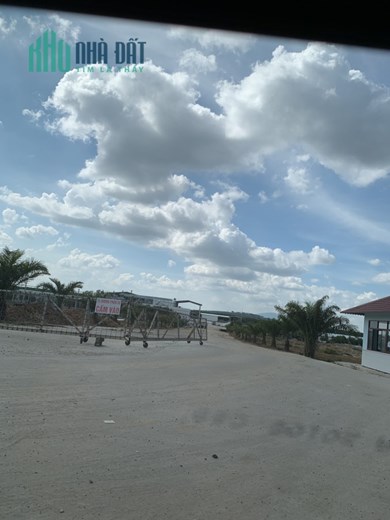 Đất sào sổ hồng riêng Đồng Nai - giá chỉ 233 triệu/Sào - Đầu tư an toàn và bảo đảm cho tương lai