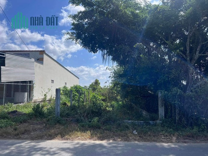 Đất mặt đường nhựa An Định - Diên Khánh