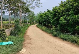 CẦN BÁN GẤP MẢNH ĐẤT SIÊU ĐẸP VIEW PANORAMA CÁNH ĐỒNG GIA MÔ TÂN LẠC HOÀ BÌNH
