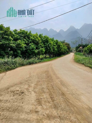 CẦN BÁN GẤP MẢNH ĐẤT SIÊU ĐẸP VIEW PANORAMA CÁNH ĐỒNG GIA MÔ TÂN LẠC HOÀ BÌNH