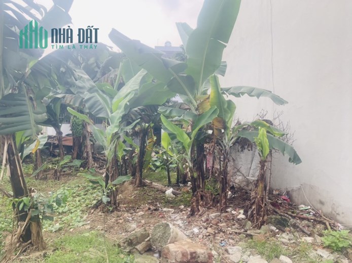 Chủ cần bán nhanh mảnh đất 45m2 tại Hải Bối Đông Anh HN