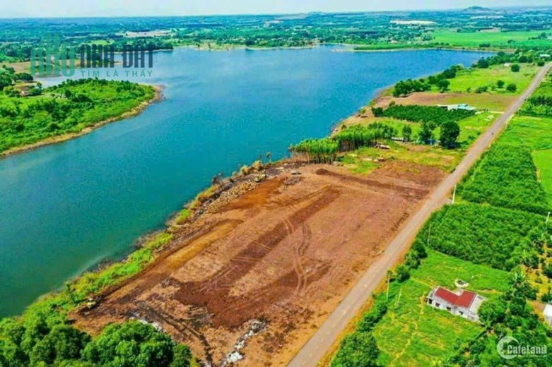 Đất Ngộp Cần Ra Ngay Mấy Lô Đất  View Hồ Tại Bình Phước