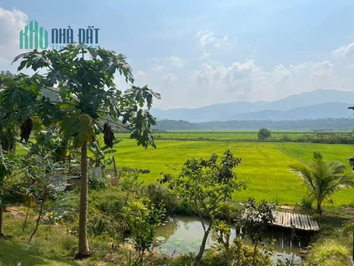 Chính chủ cần bán Mảnh đất phù hợp trồng rau, nuôi gà, thả cá