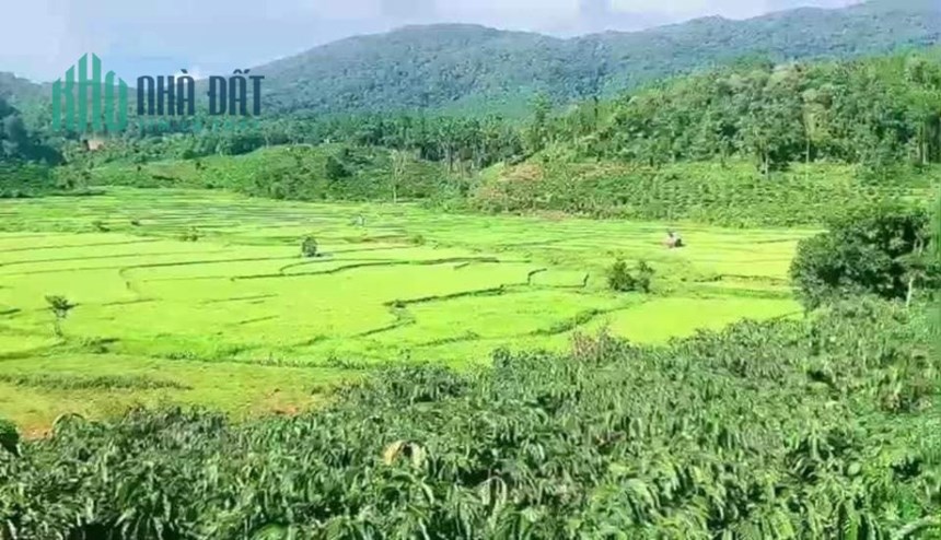 Chính chủ cần bán Mảnh đất phù hợp trồng rau, nuôi gà, thả cá