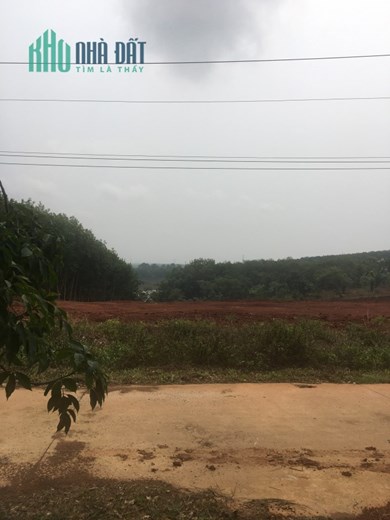 Đất siêu rẻ Sổ Sẵn, thổ cư